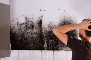 mold and indoor air quality inspections nj