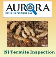 Township of Washington NJ - Termite and Wood-Destroying Insect Inspections